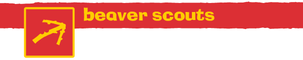 Beaver Scouts Page Header